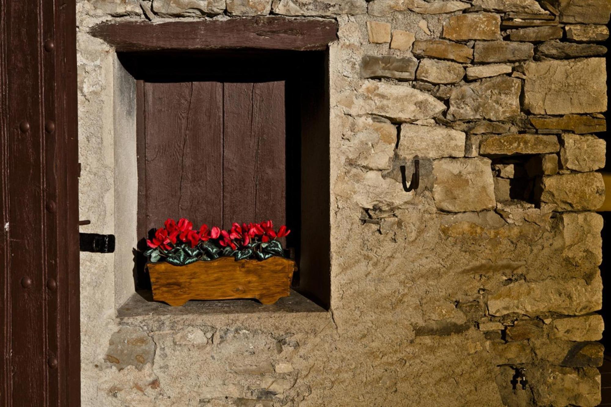 Conjunt Rural Cal Soldat Collmorter Dış mekan fotoğraf